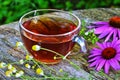 Tea with echinacea useful to health Royalty Free Stock Photo