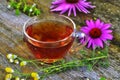 Tea with echinacea useful to health