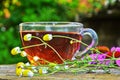 Tea with echinacea useful to health Royalty Free Stock Photo