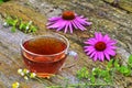Tea with echinacea useful to health Royalty Free Stock Photo