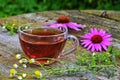 Tea with echinacea useful to health
