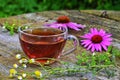 Tea with echinacea useful to health Royalty Free Stock Photo