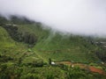 Amazing Tea Estate in Kinnakorai mountain valley, Tamilnadu. Royalty Free Stock Photo