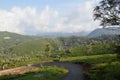 Tea estates view, Kotagiri, India Royalty Free Stock Photo