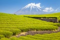 Tea farm and Mount Fuji in spring at Shizuoka Royalty Free Stock Photo