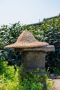 Tea farmers hat Royalty Free Stock Photo