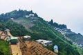 Tea farms on a mountain Royalty Free Stock Photo