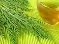 Tea with field horsetail Royalty Free Stock Photo