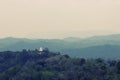 Tea Fields of Sri Lanka, Single tree hill, Nuwara eliya Royalty Free Stock Photo