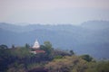 Tea Fields of Sri Lanka, Single tree hill, Nuwara eliya Royalty Free Stock Photo