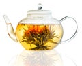 Tea Flower in a Clear Teapot Royalty Free Stock Photo