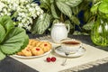 Tea fresh biscuits with cherries Royalty Free Stock Photo