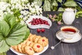 Tea fresh biscuits with cherries Royalty Free Stock Photo