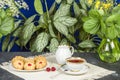 Tea fresh biscuits with cherries Royalty Free Stock Photo