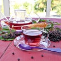 Tea with fresh elder berries Royalty Free Stock Photo