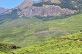 Tea Garden or Tea Estates at Munnar, Kerala best view Royalty Free Stock Photo
