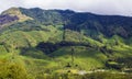 Tea Garden India Royalty Free Stock Photo