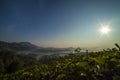 Tea garden in the morning in Sukanagara, Cianjur West Java Royalty Free Stock Photo