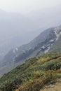 Tea garden and mountain zigzag road of kurseong near darjeeling in west bengal, india