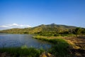 Tea garden scenery Royalty Free Stock Photo