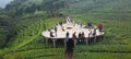 Tea garden in sirah kencong Royalty Free Stock Photo
