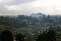 Tea Garden in Sri Lanka in a Rain