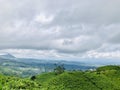 Tea gardens are seen from the top of the hill in Keminung in Karanganyar in Central Java, Indonesia.