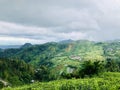 Tea gardens are seen from the top of the hill in Keminung in Karanganyar in Central Java, Indonesia.