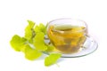 Tea ginkgo 01 Royalty Free Stock Photo