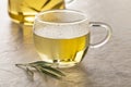 Tea glass with dried olive leaves tea and a fresh twig of olive leaves