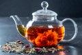 Tea in a glass teapot with a blooming large flower. Teapot with exotic green tea-balls blooms flower and dried tea and rose buds Royalty Free Stock Photo