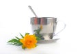 Tea with a globeflower. Isolated Royalty Free Stock Photo