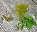 Tea .Gumnema inodorum Lour. Decne., Drug treatment for diabetes Royalty Free Stock Photo