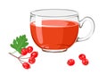 Tea with Hawthorn berry  in glass. Branch with red berries and green leaves Royalty Free Stock Photo