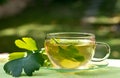 Tea with herbaceous plant Royalty Free Stock Photo