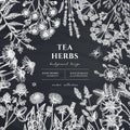 Tea herbs hand drawn illustration design. Background with chalk chamomile, mint, chicory, etc. Royalty Free Stock Photo