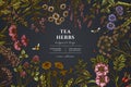 Tea herbs hand drawn illustration design. Background with vintage chamomile, mint, chicory, etc.
