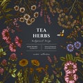 Tea herbs hand drawn illustration design. Background with vintage chamomile, mint, chicory, etc. Royalty Free Stock Photo