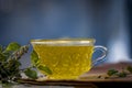 Tea of holy basil,tulsi,Ocimum tenuiflorum,in a transparent cup with leaves beneficial for heart diseases and stress. Royalty Free Stock Photo