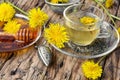 Tea with honey dandelion Royalty Free Stock Photo