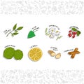 Tea ingredients -Herbs, fruits and spice set or collection