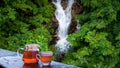 tea in jug and glass on the bacony and beautiful waterfall and green leaves forest blur background Royalty Free Stock Photo