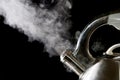 Tea kettle with boiling water Royalty Free Stock Photo