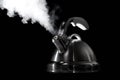 Tea kettle with boiling water Royalty Free Stock Photo