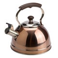 A tea kettle with a whistle spout., isolated Royalty Free Stock Photo