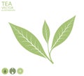 Tea leaf. Isolated on white background Royalty Free Stock Photo