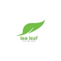 tea leaf logo vector icon illustration Royalty Free Stock Photo