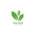 tea leaf logo vector icon illustration Royalty Free Stock Photo