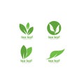 tea leaf logo vector icon illustration Royalty Free Stock Photo