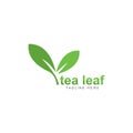 tea leaf logo vector icon illustration Royalty Free Stock Photo